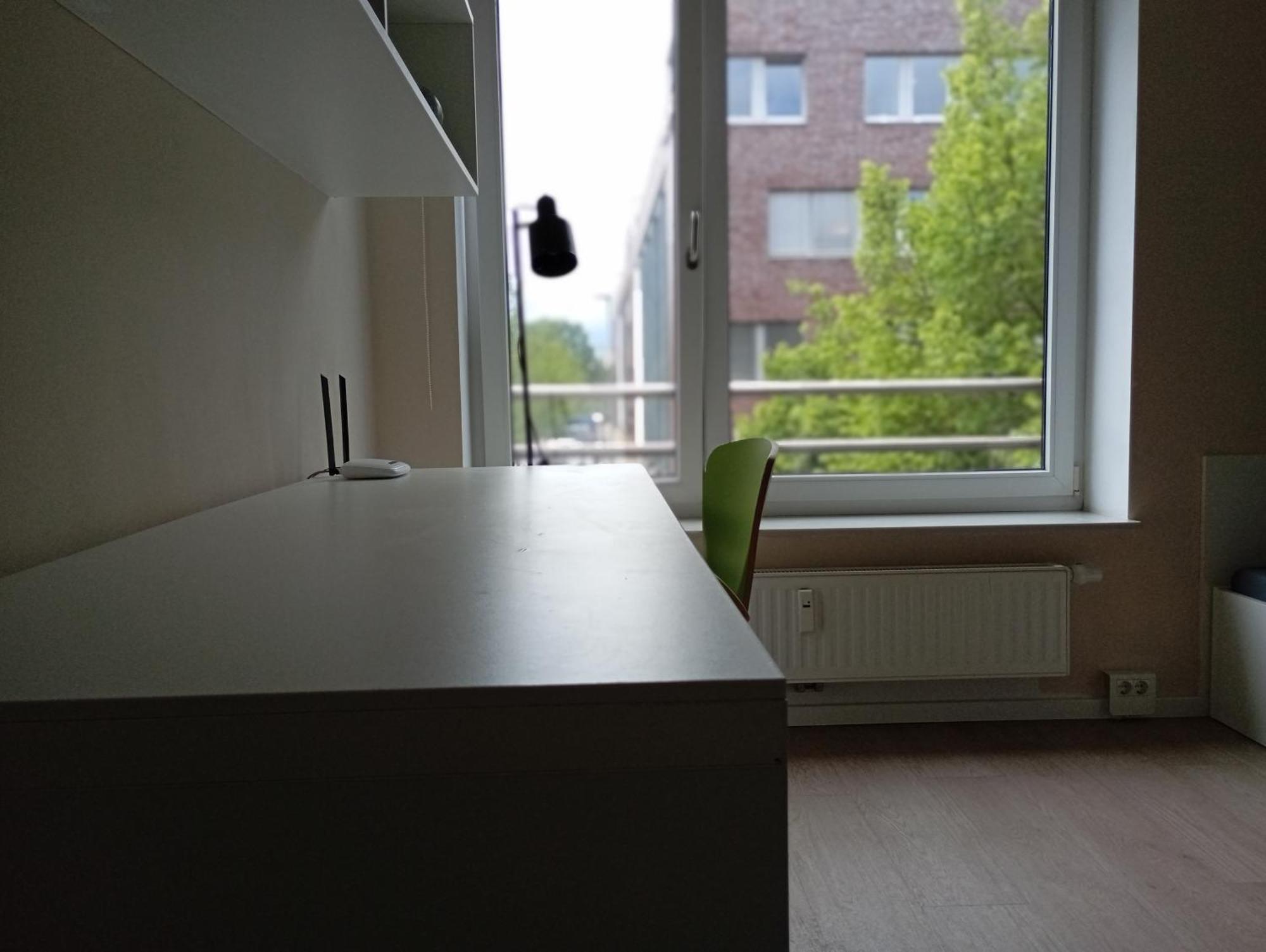 Studio Suite Near University BRE Extérieur photo